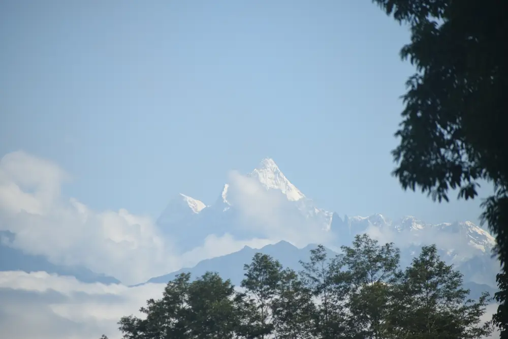 Kanchenjunga Calling: The Top Offbeat Destinations in North Bengal, Including Fikklaygaon Homestay